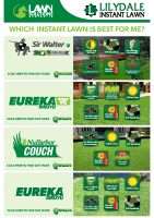 Which Instant Lawn Is Best For Me