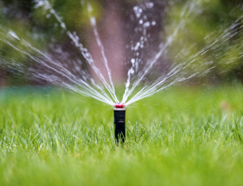 Getting Your Irrigation System Ready for Summer