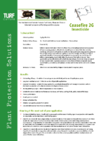 Ceasefire 2G Brochure