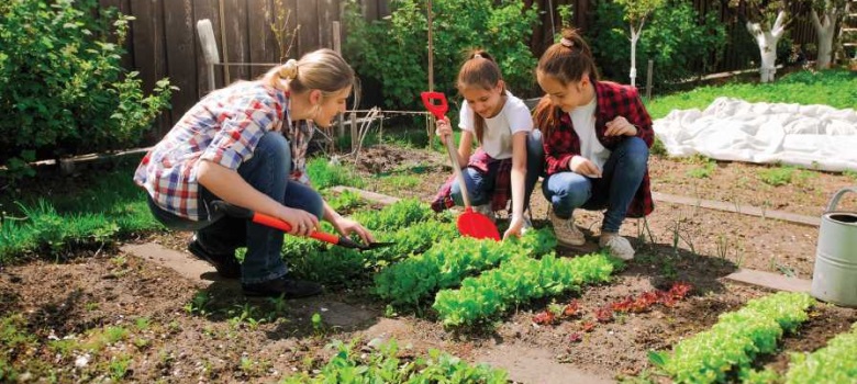 How much does gardening cost in Melbourne