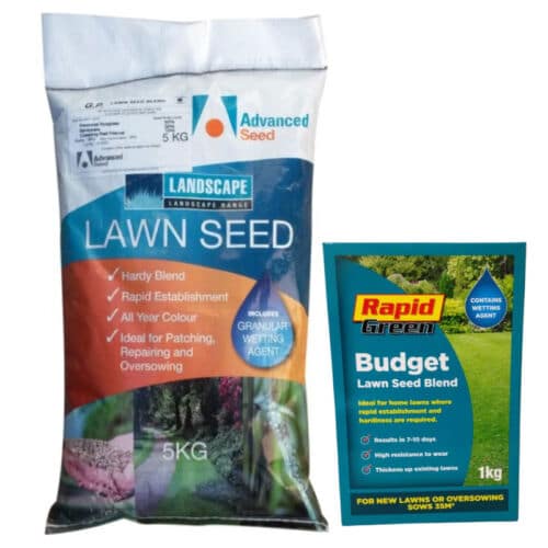 Rapid Seed Budget Blend