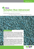 Echelon-Duo-Advanced