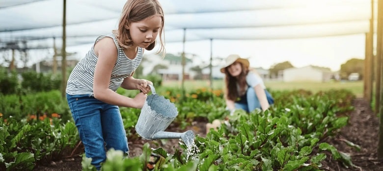 Top Gardening Ideas for Melbourne Households