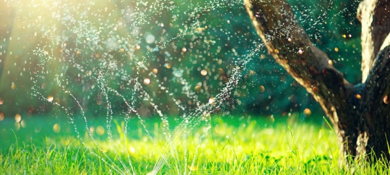 How to choose the best lawn sprinkler system in Melbourne