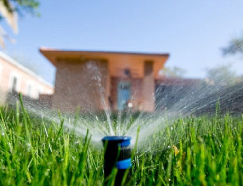How Much Does the Average Lawn Sprinkler System Cost? Melbourne Price Guide